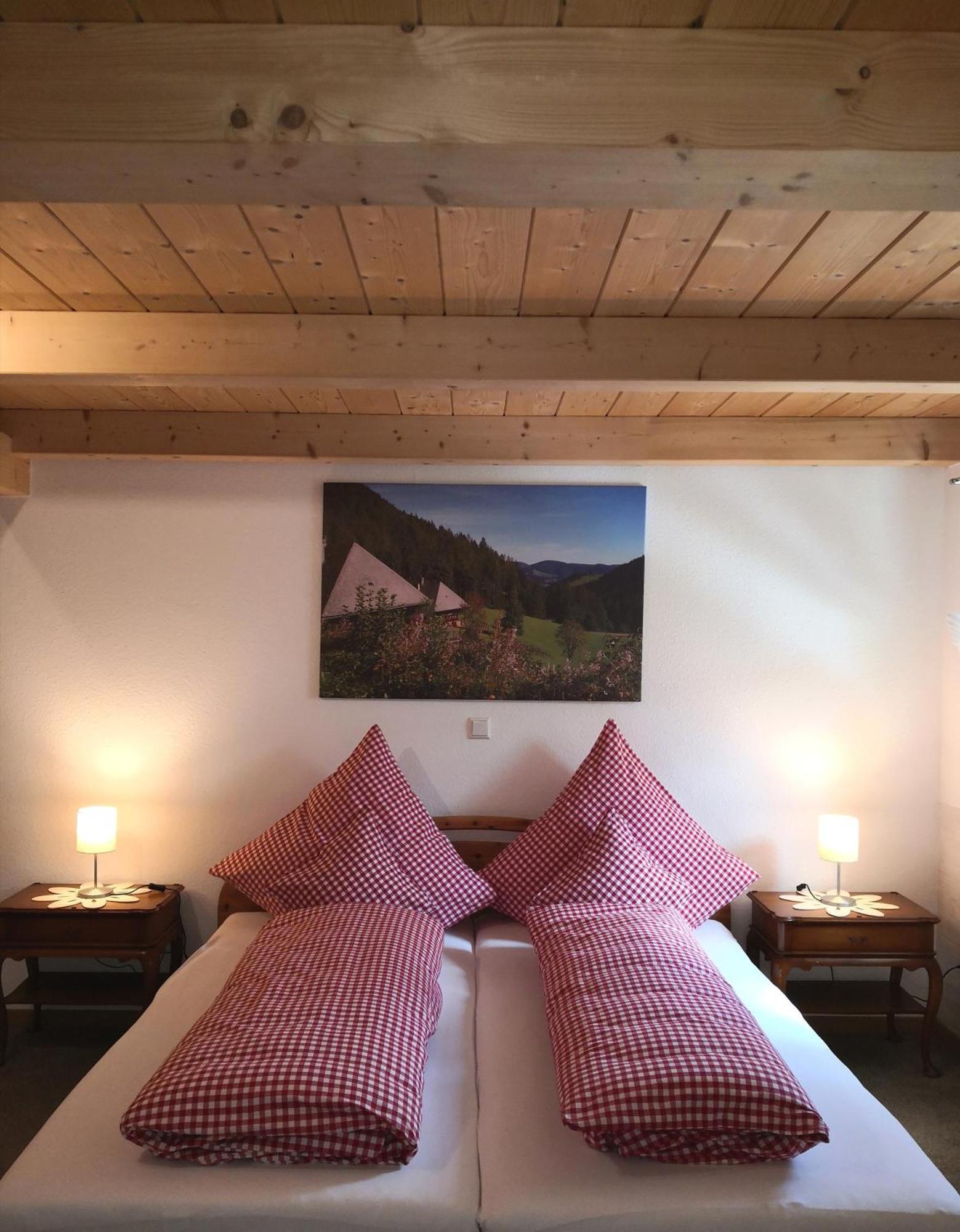 Schonenberg Ferienwohnung Belchenliebe מראה חיצוני תמונה